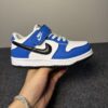Nike SB Low Dunk (Kids)