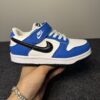 Nike SB Low Dunk (Kids)