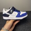 Nike SB Low Dunk (Kids)