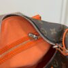 The LV Speedy Pillow Bag