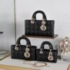 Dior Lady D Joy